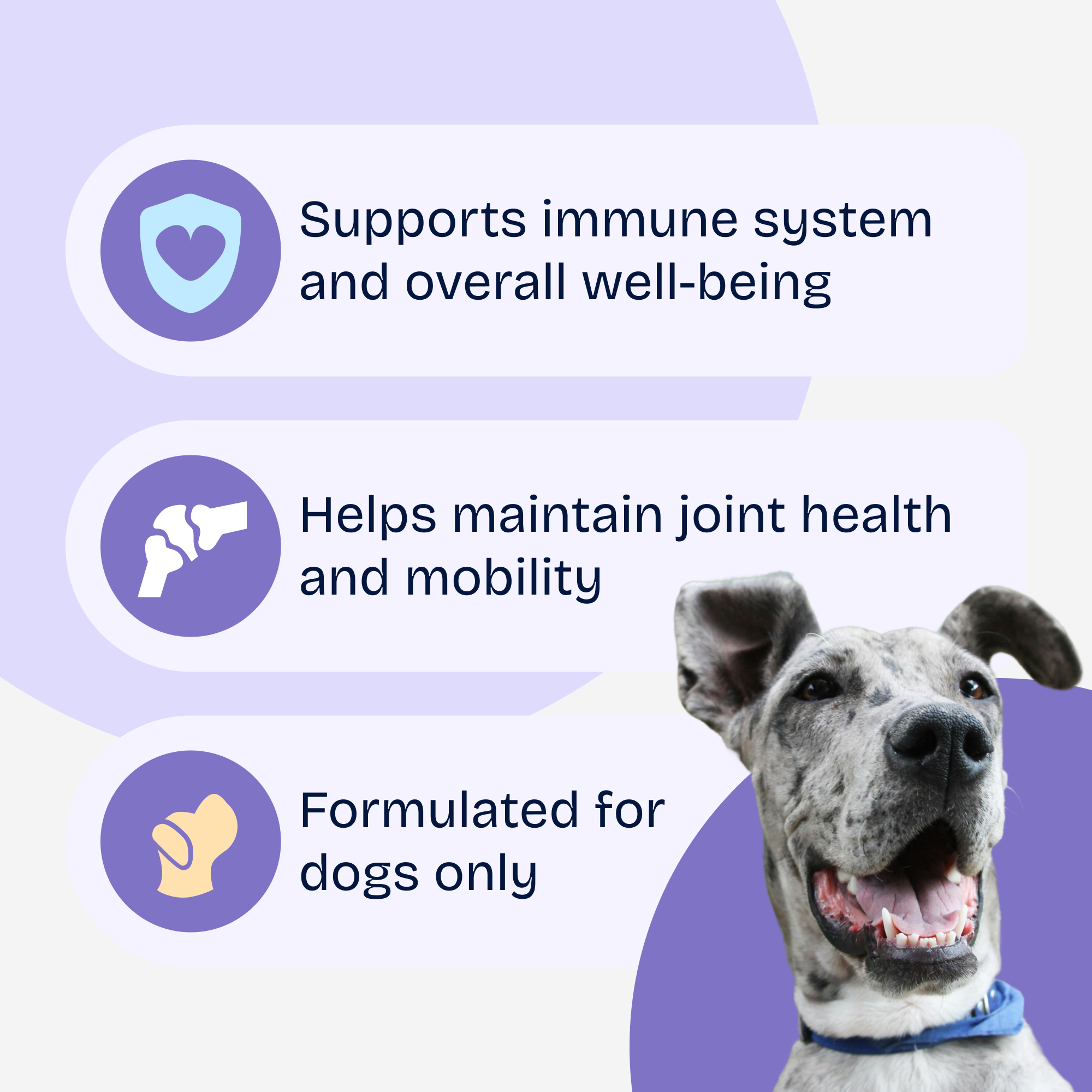All In One Multivitamin Soft Chews
