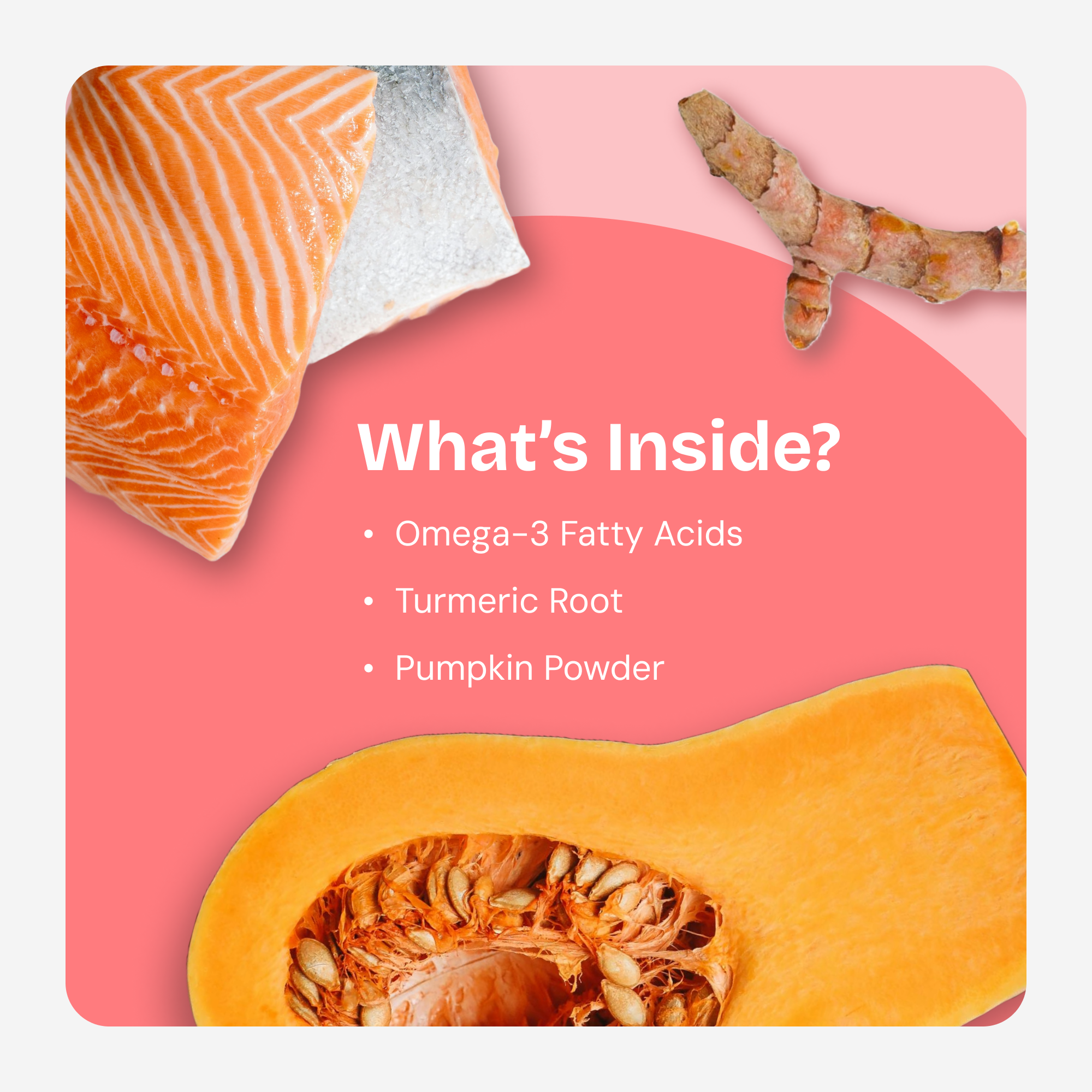 Allergy Aid Soft Chews