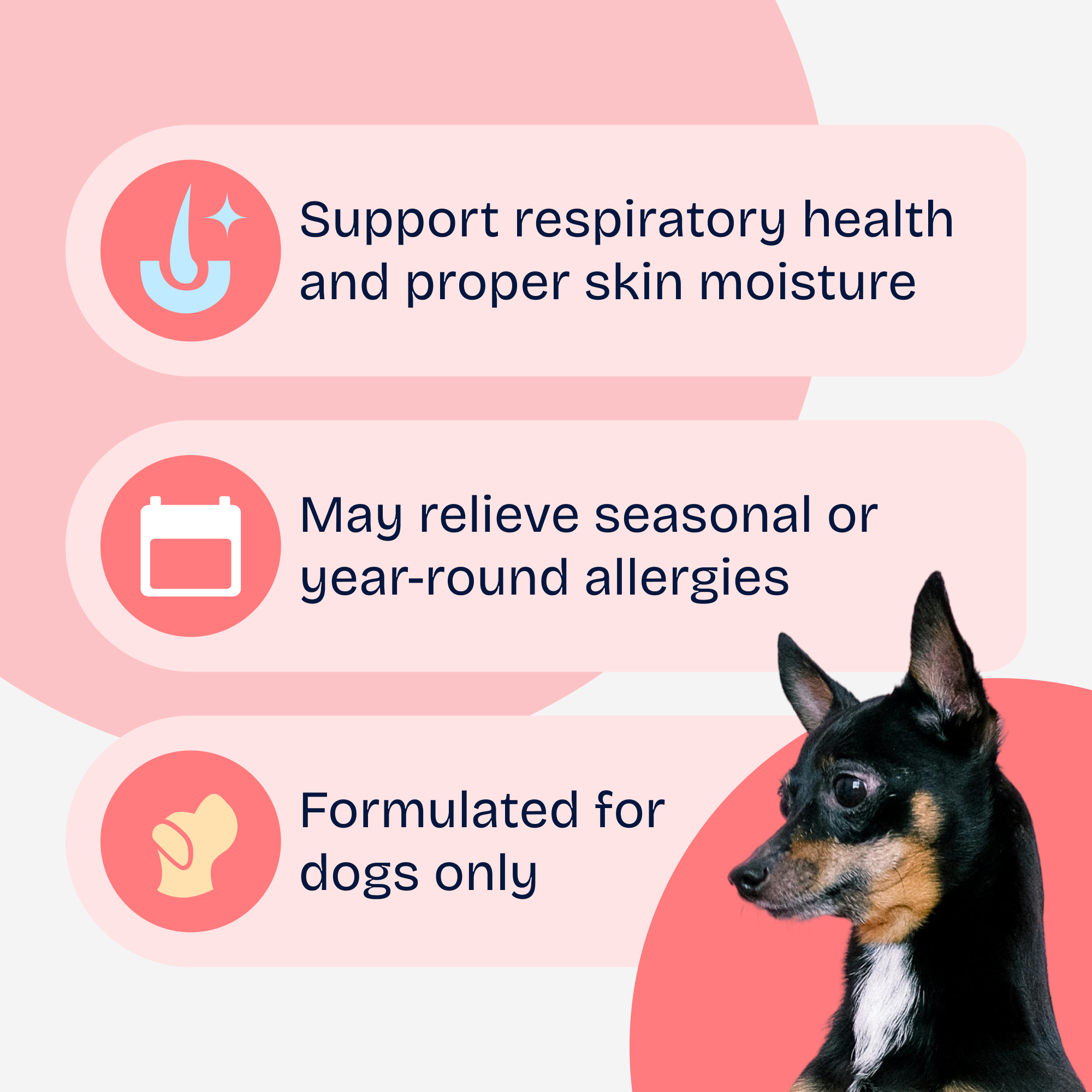 Allergy Aid Soft Chews
