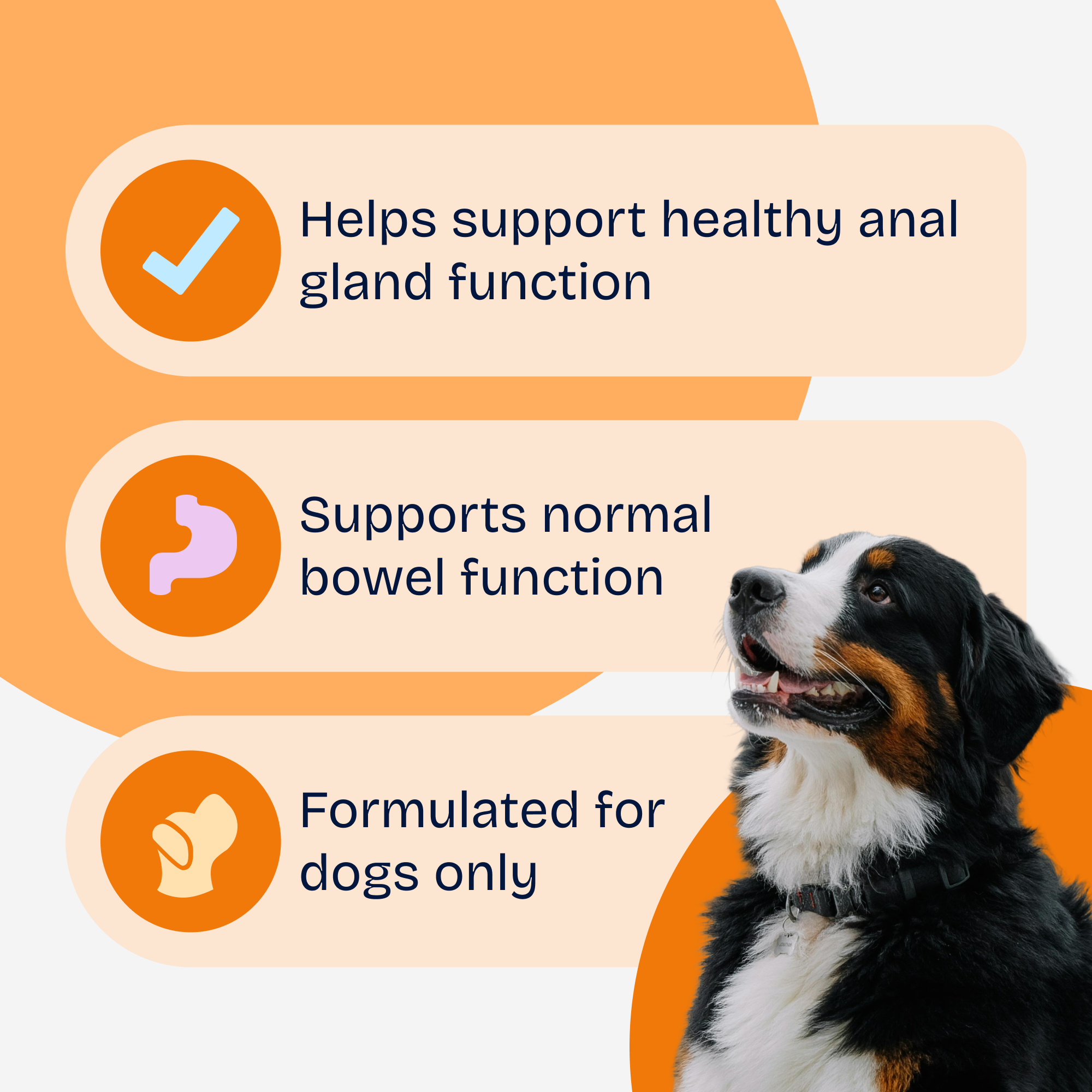 Anal Gland Support Soft Chews