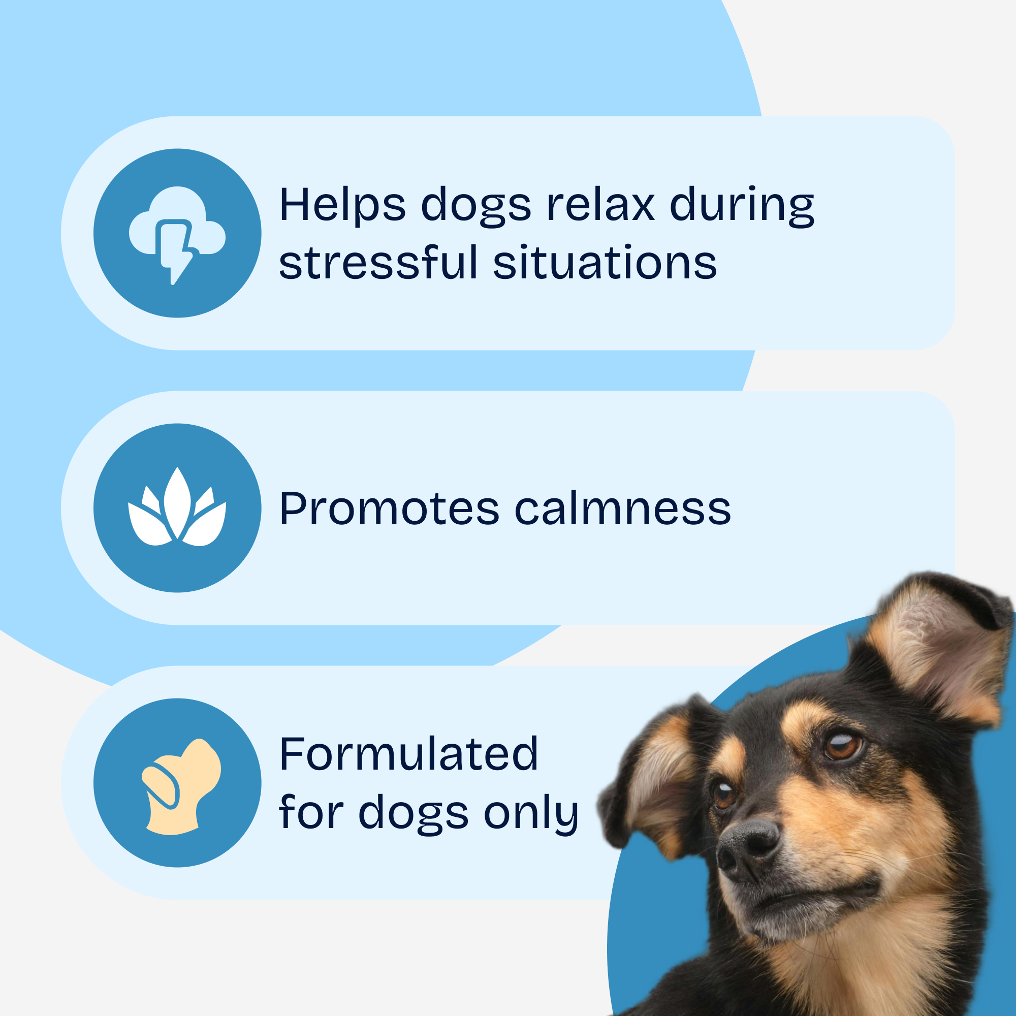 Calming Aid Soft Chews