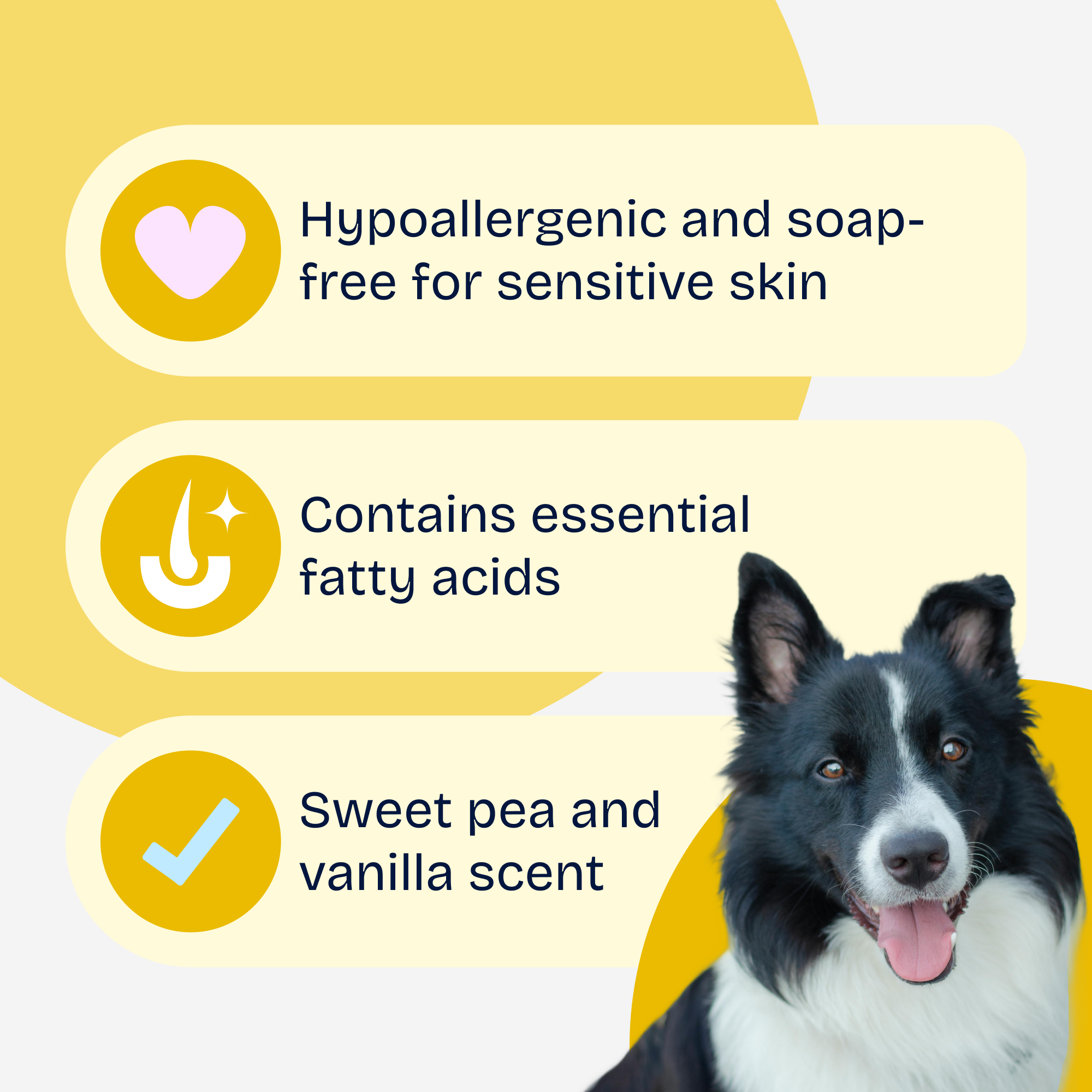 Deodorizing Shampoo For Dogs