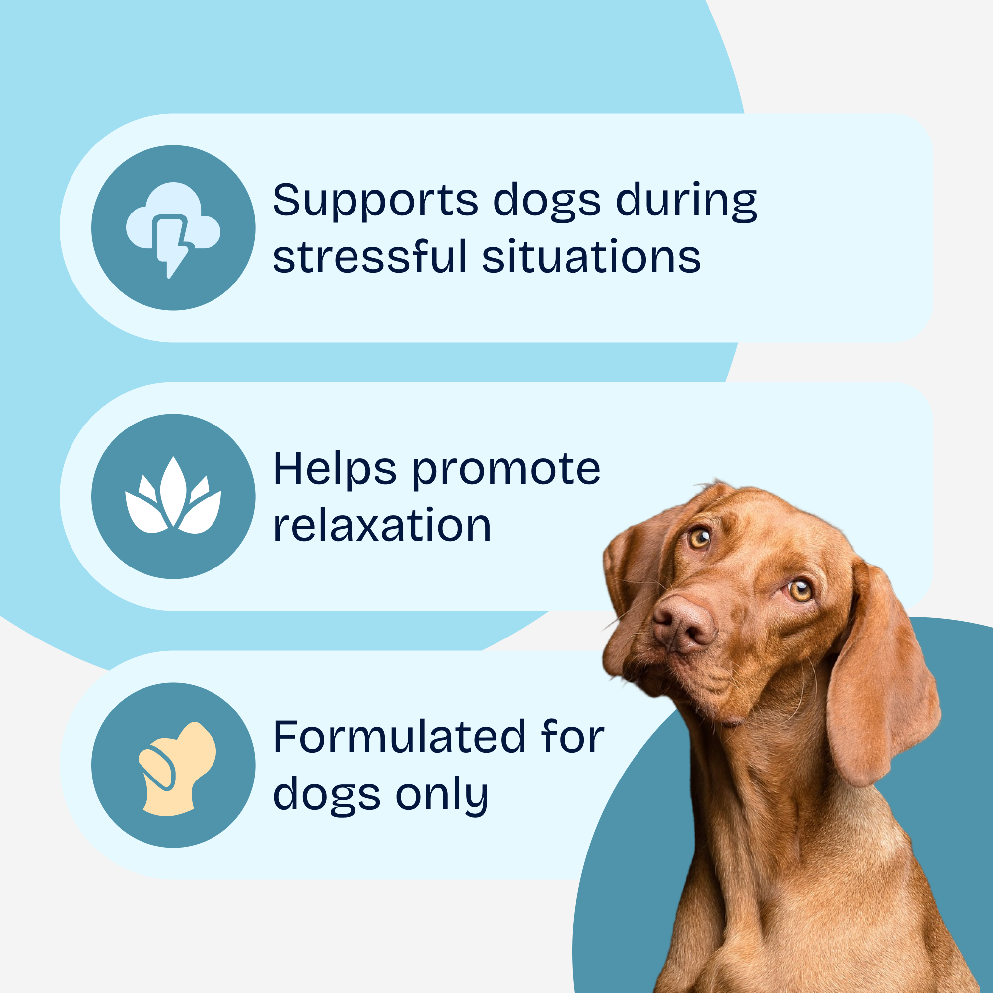 Hemp Calming Soft Chews
