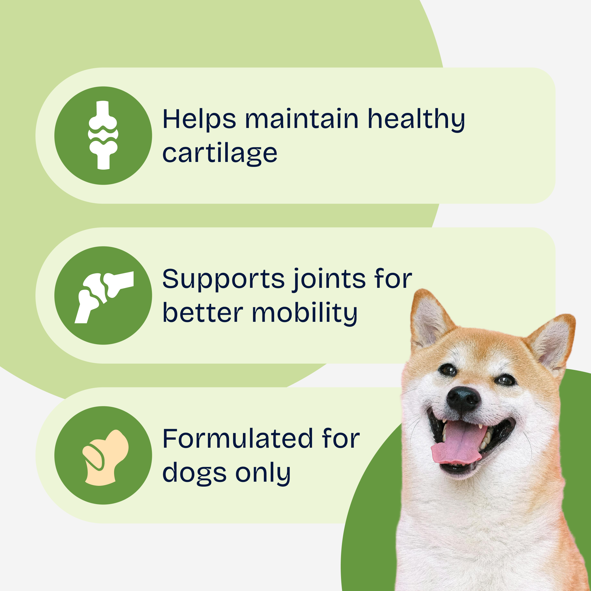Joint Support Soft Chews