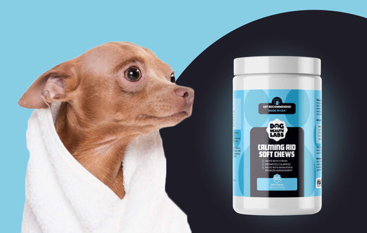 How Can Calming Aid Soft Chews Help Reduce Your Dog's Stress?