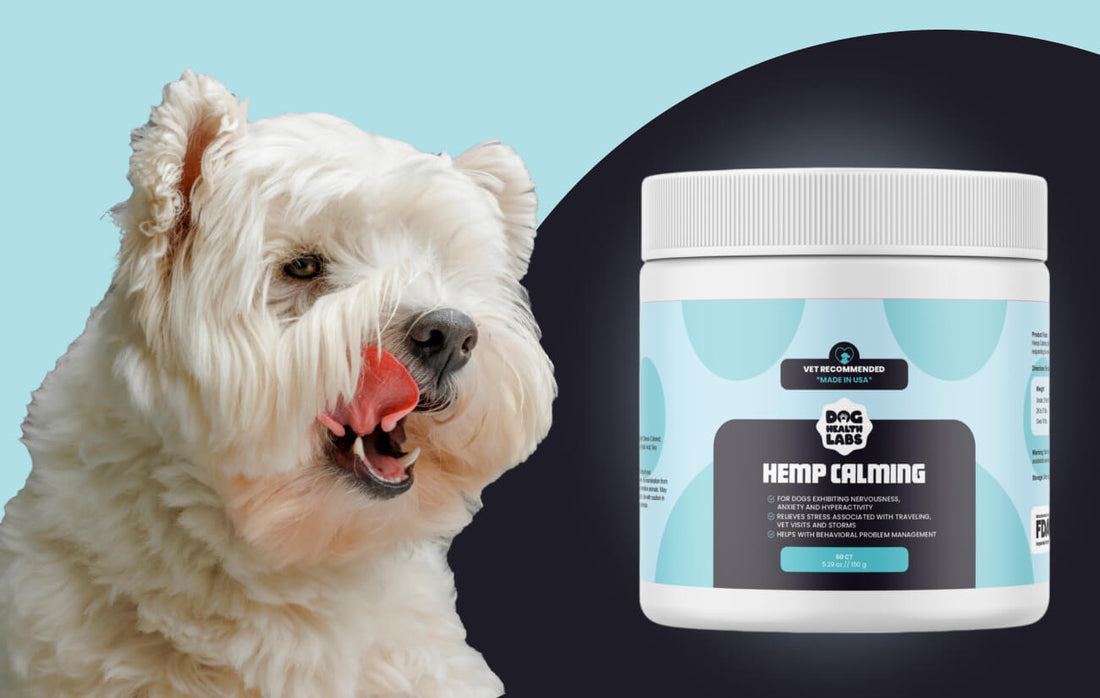 How Can I Tell If My Dog Needs Hemp Calming?