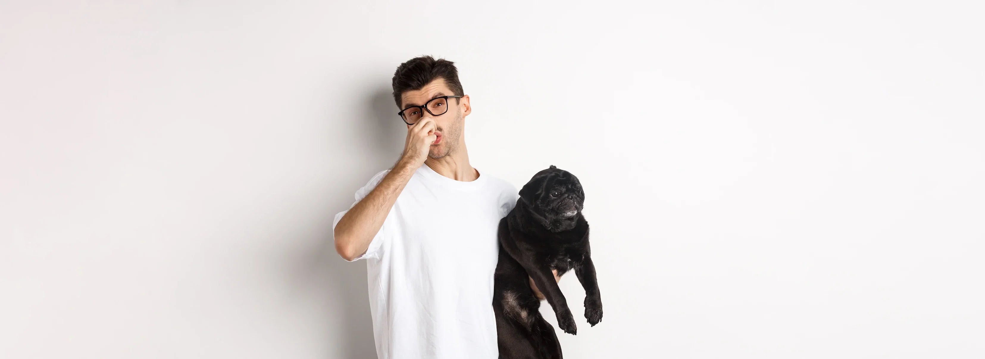 Signs Your Dog's Digestion Isn't Right (And How to Help)