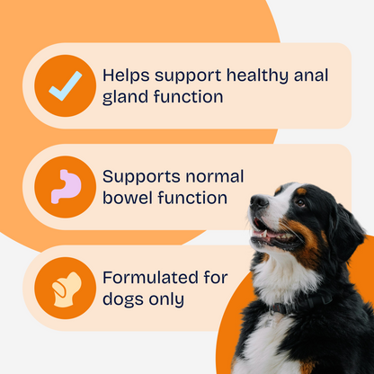 Anal Gland Support Soft Chews